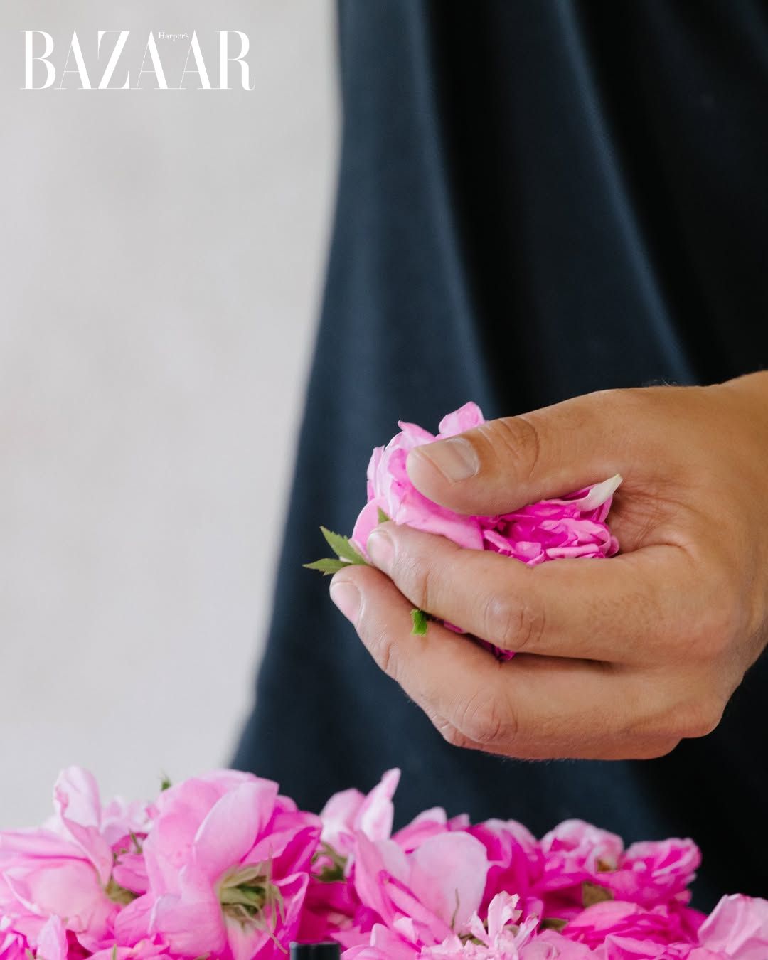 bzvn-matiere-premiere-nuoc-hoa (1)