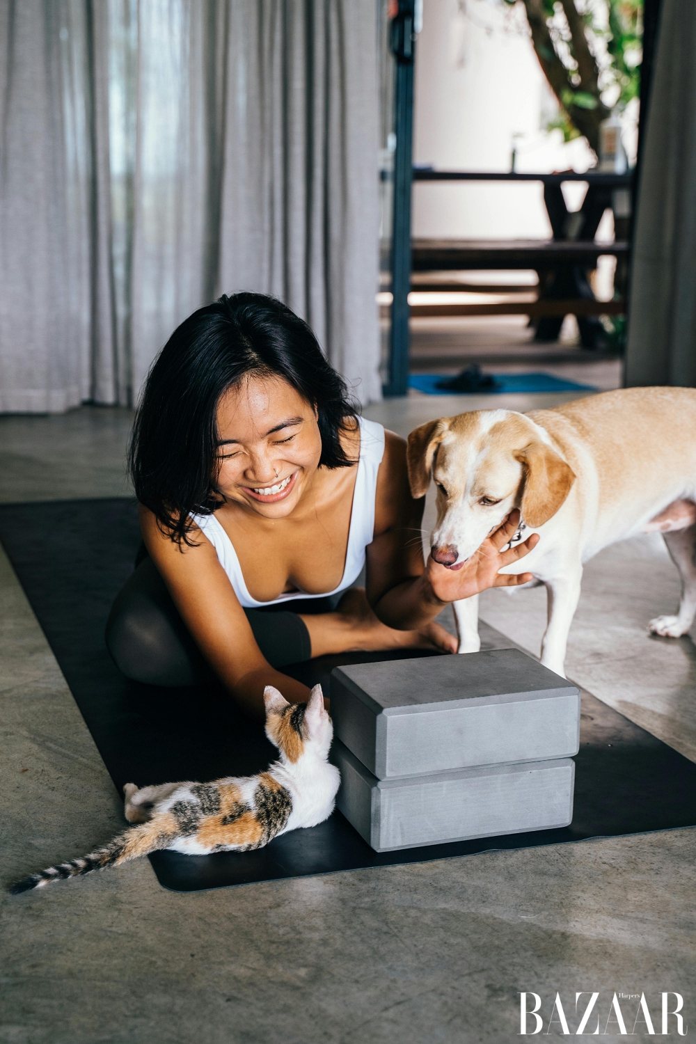 thú cưng trong phong thủy