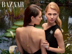 Bộ sưu tập Flowerlace, Van Cleef & Arpels, ava