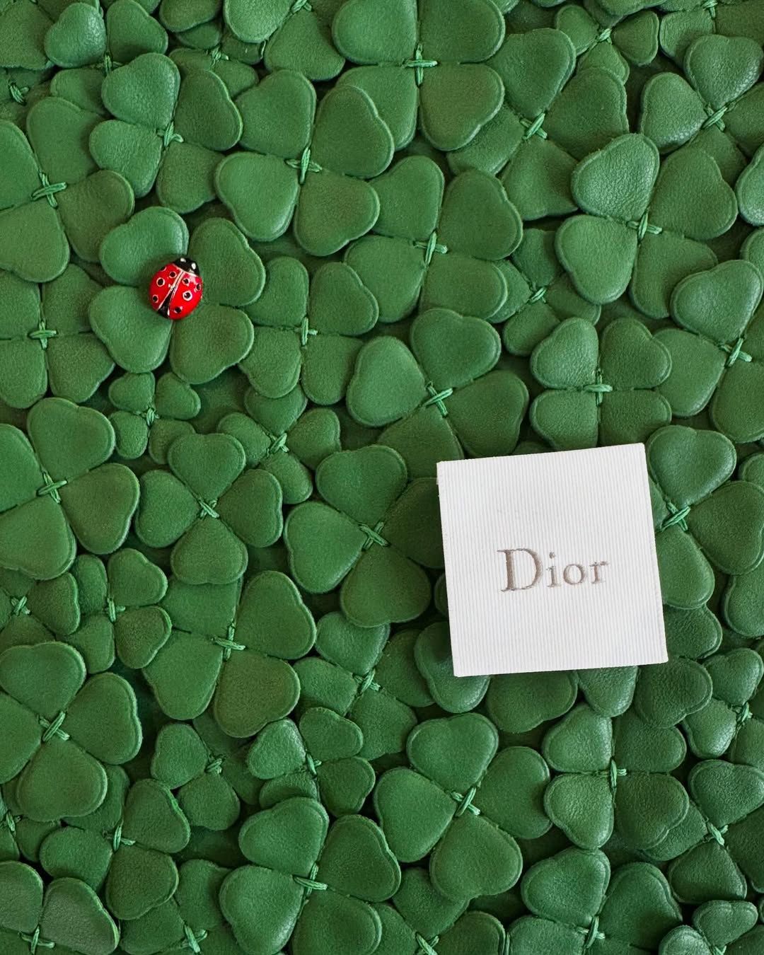 BZVN-JISOO-LADY-DIOR-JONATHAN-ANDERSON-SAN-BAY-AIRPORT00002