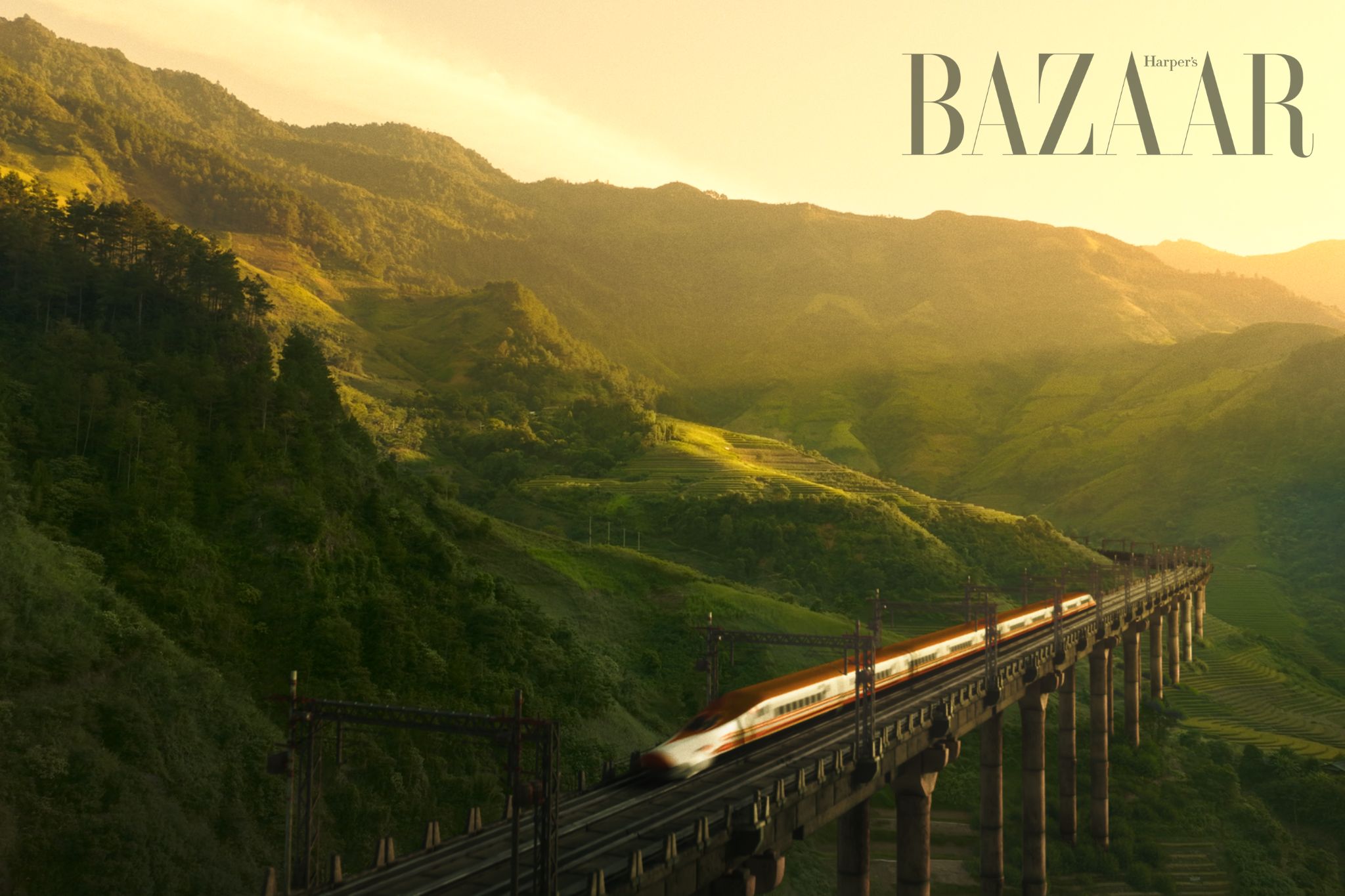 DTAP Made In Vietnam