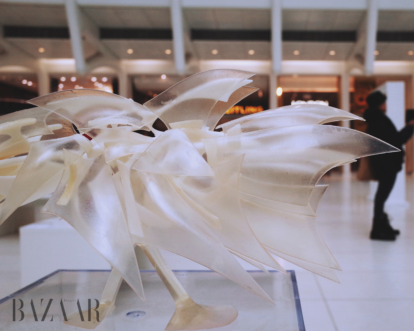 Junchao Yang – Transforming design process into creative expression 2