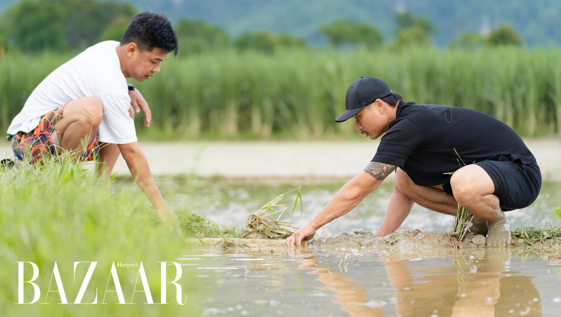 Bố ơi mình đi đâu thế? tập 12: Picnic trên ruộng đồng