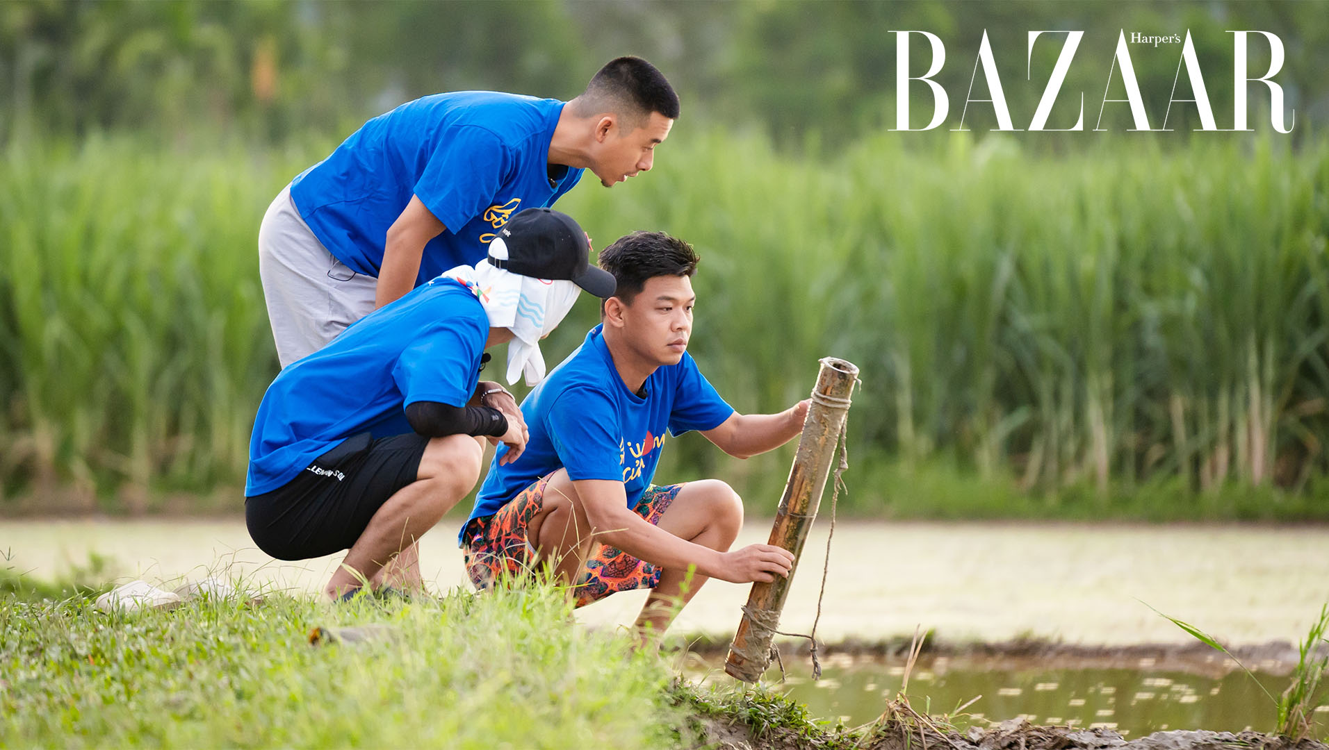 Bố ơi mình đi đâu thế? tập 12: Picnic trên ruộng đồng