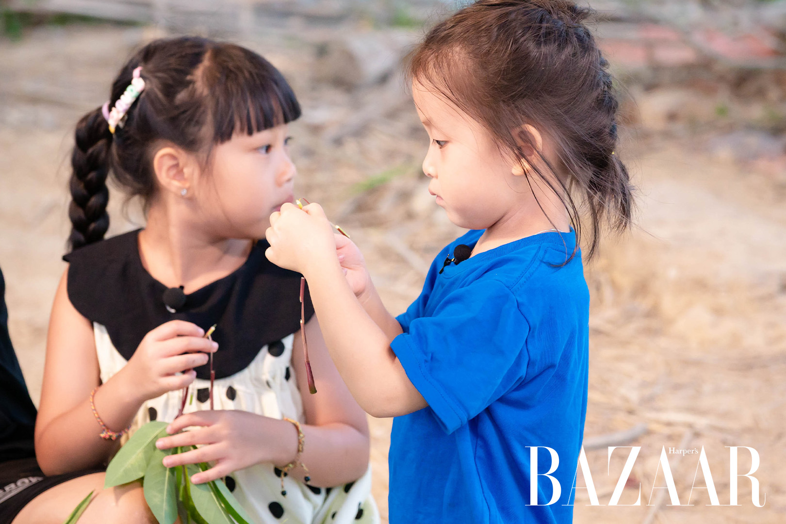 Bố ơi mình đi đâu thế? tập 12: Picnic trên ruộng đồng