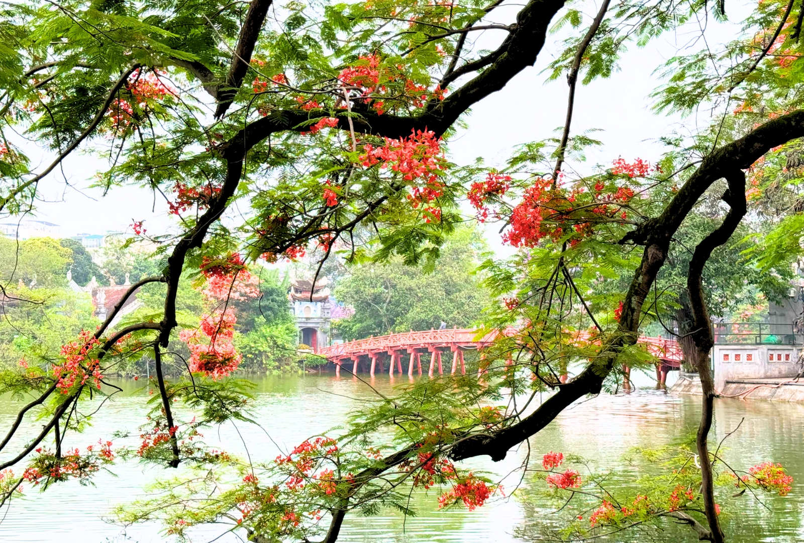 Hỏi và đáp nhanh