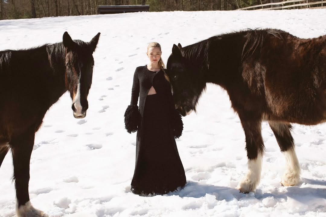 Amanda Seyfried là ai?