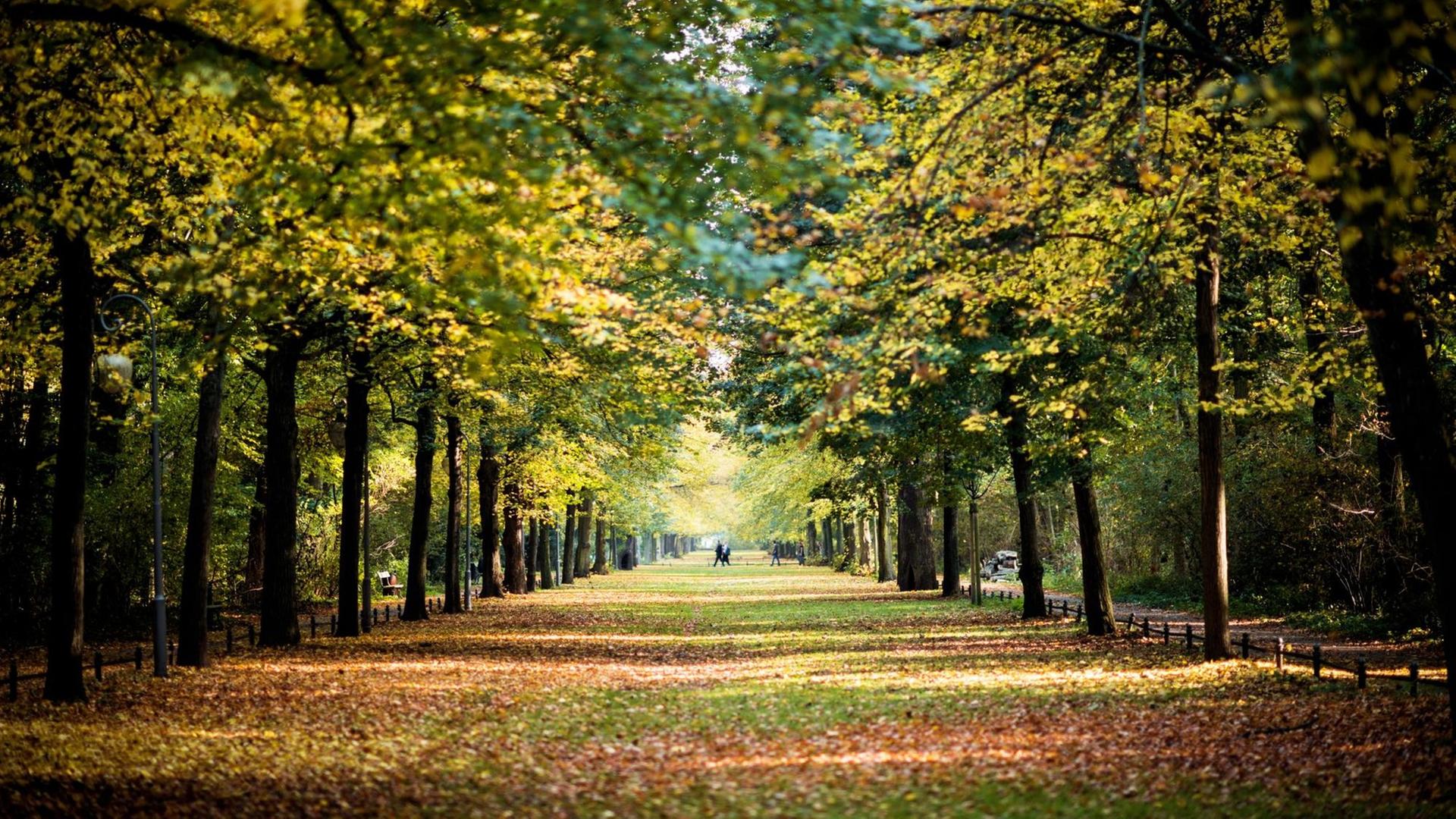 Công viên Tiergarten, “lá phổi xanh” của Berlin