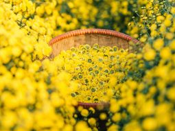 Cách di chuyển đến Hưng Yên