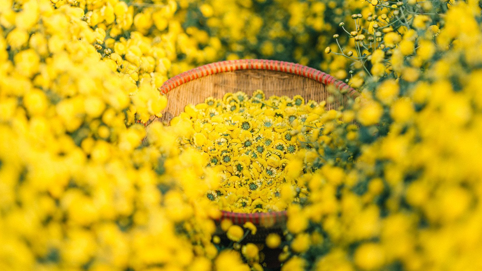 Cách di chuyển đến Hưng Yên