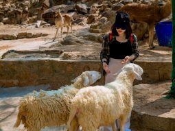 Tham quan khu du lịch sinh thái Hồ Mây