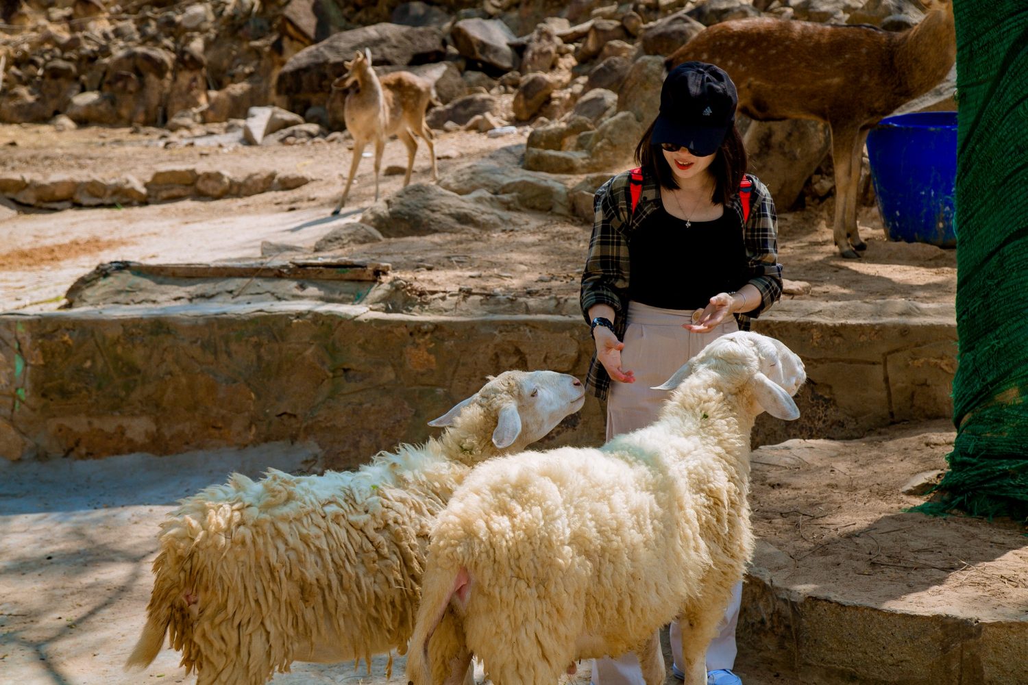 Tham quan khu du lịch sinh thái Hồ Mây