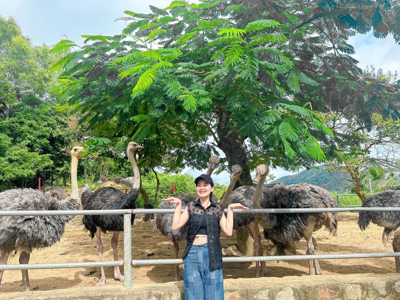 Những lưu ý cần biết khi đến Hồ Mây