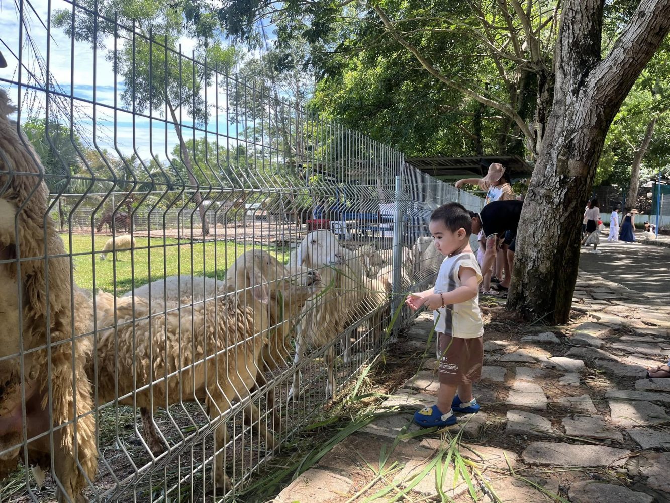 Tham quan khu du lịch sinh thái Hồ Mây