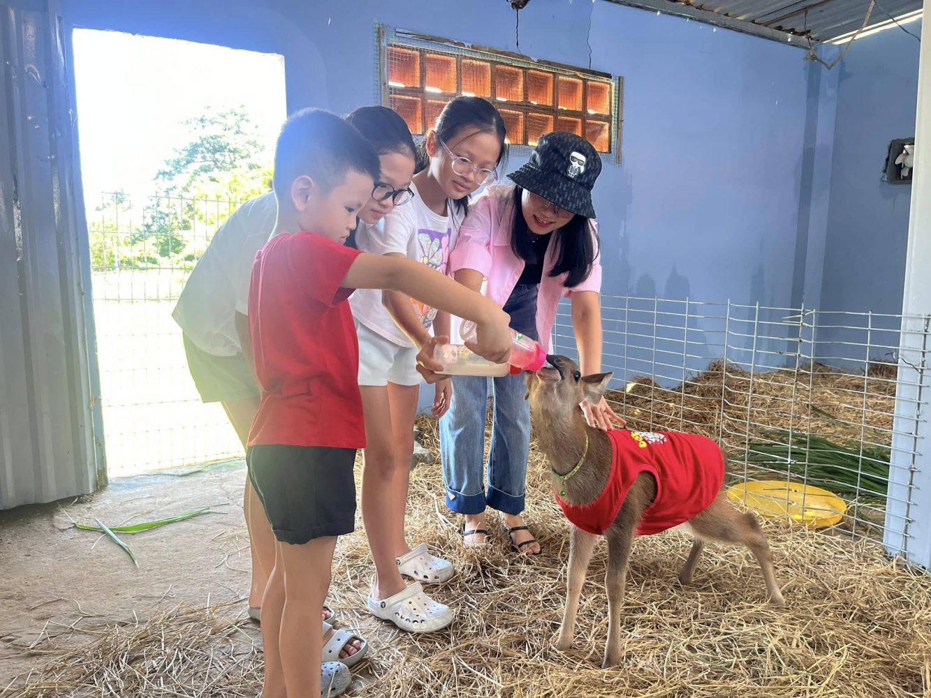 Gói 3: Thứ 7 vui chơi và tham quan trọn gói