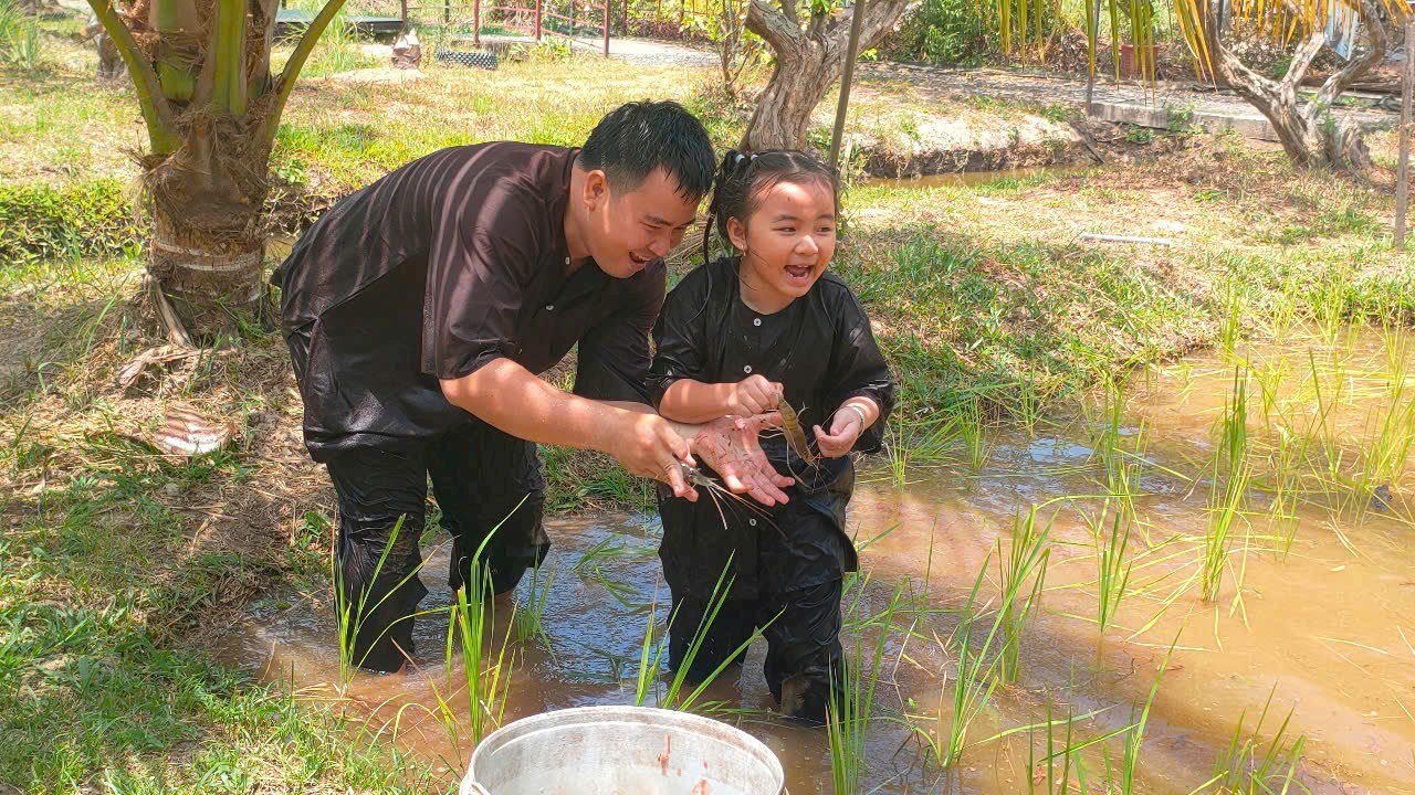 Giá vé khu du lịch Phú An Khang mới nhất