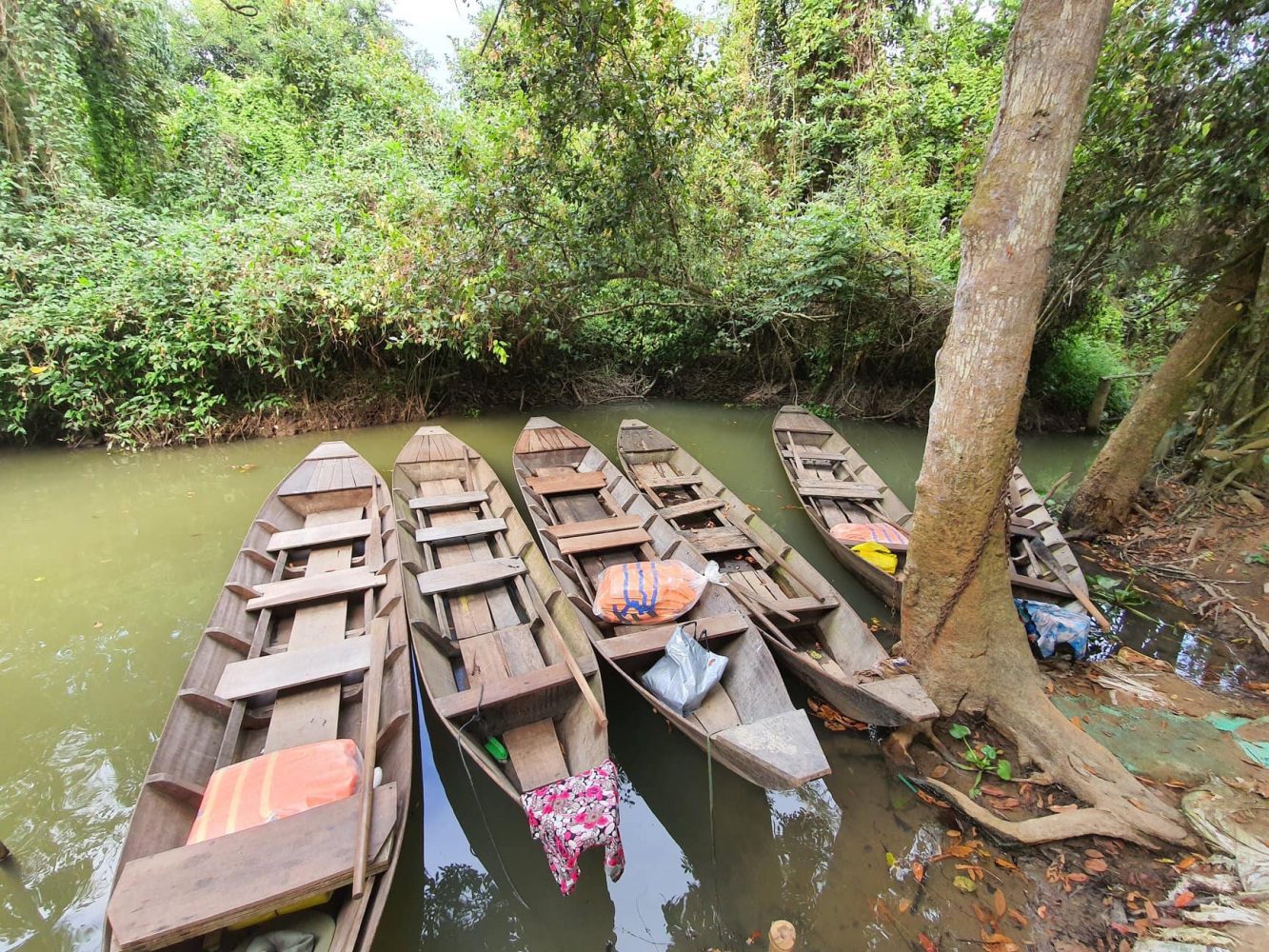 thuyền chở khách tham quan 