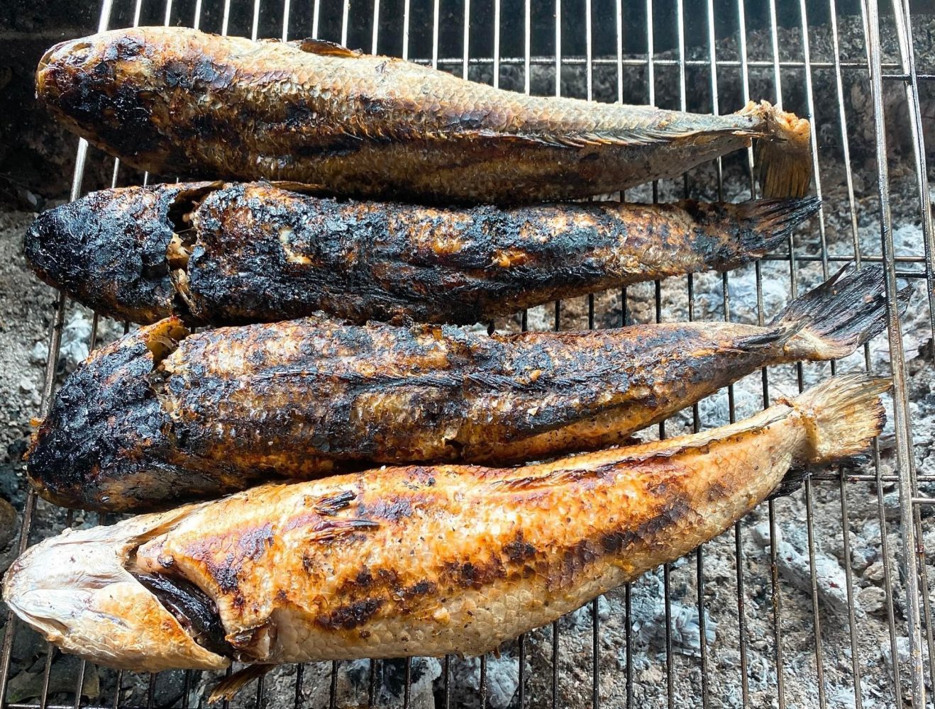 Cá lóc nướng trui