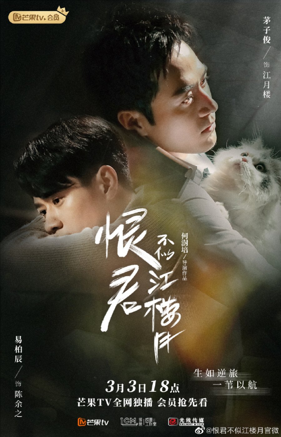 Hận quân không giống Giang Lâu Nguyệt – Killer and healer (2021)