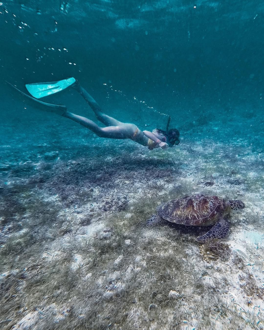 bãi biển hoang sơ nhất Đông Nam Á