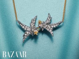 Bird on a Rocky by Tiffany, ava