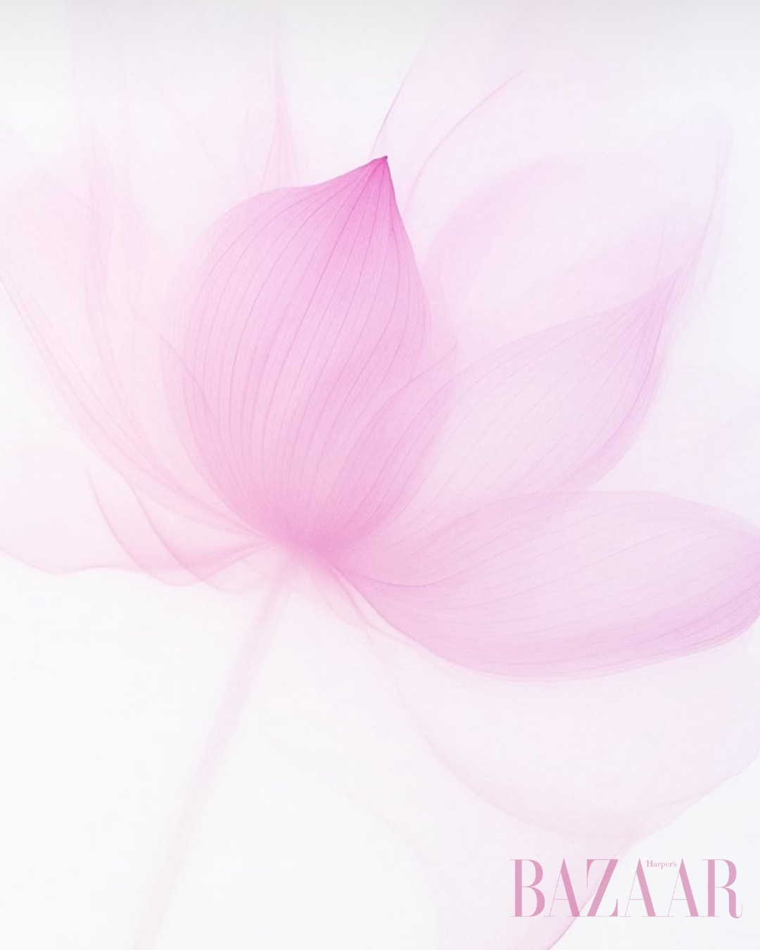 BZVN-LISA-EMMYS-2025 (6)