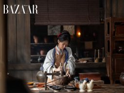 bzvn-gia-nghiep-duong-tu-thumbnail