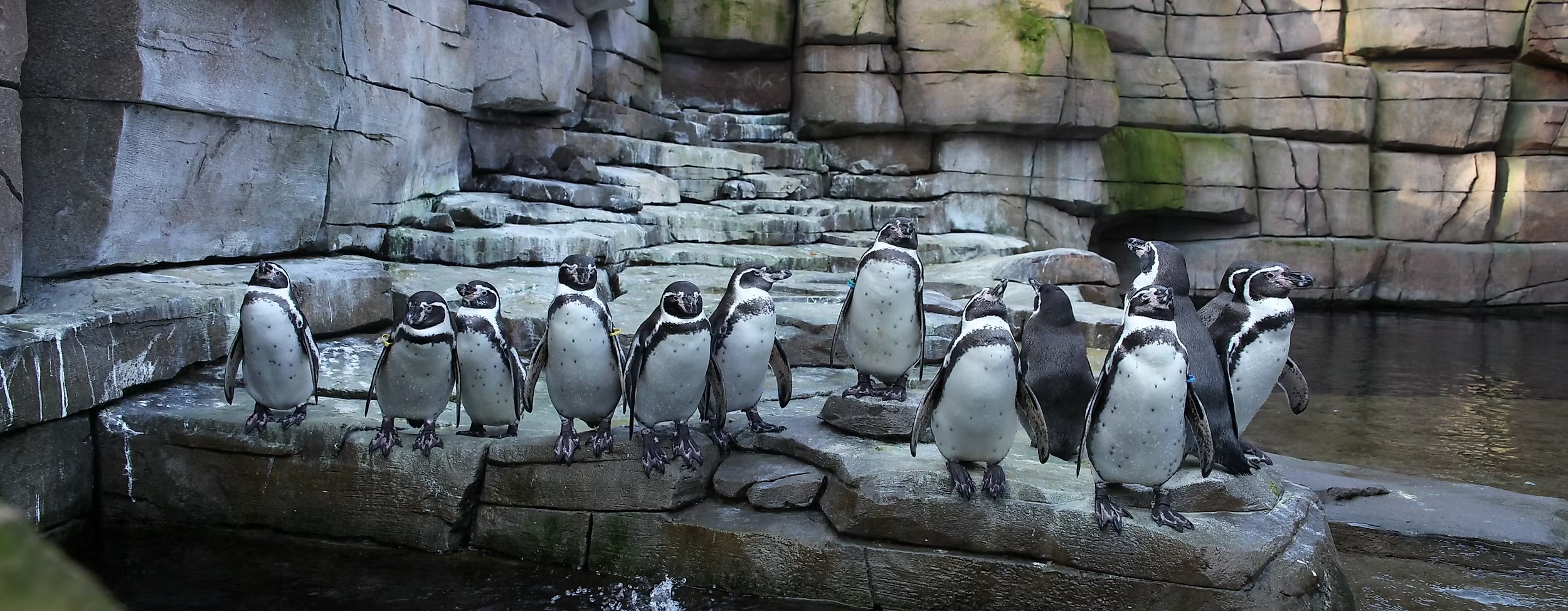 Vui chơi tại sở thú Tierpark Hagenbeck