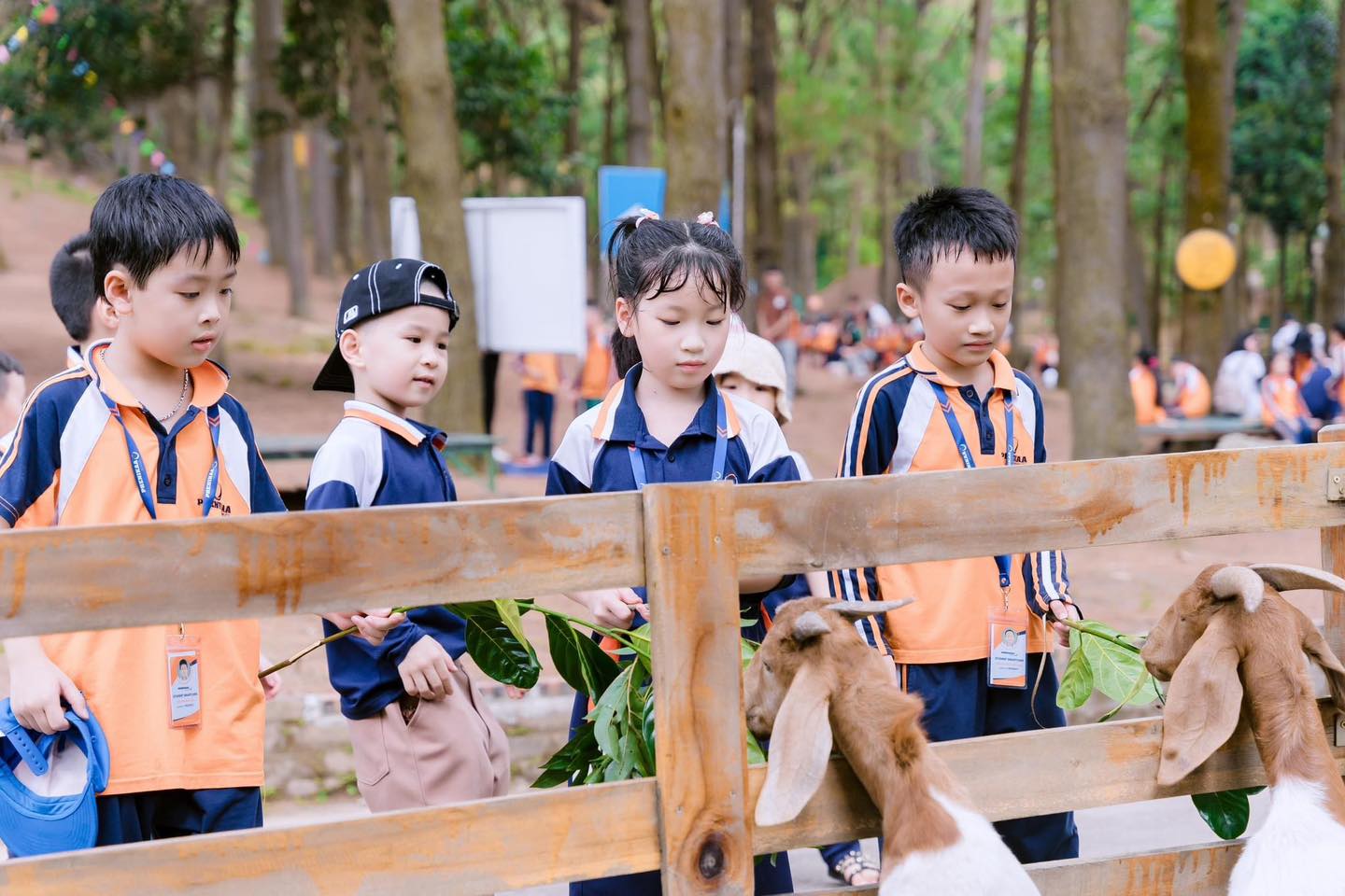 Những trải nghiệm thú vị khác
