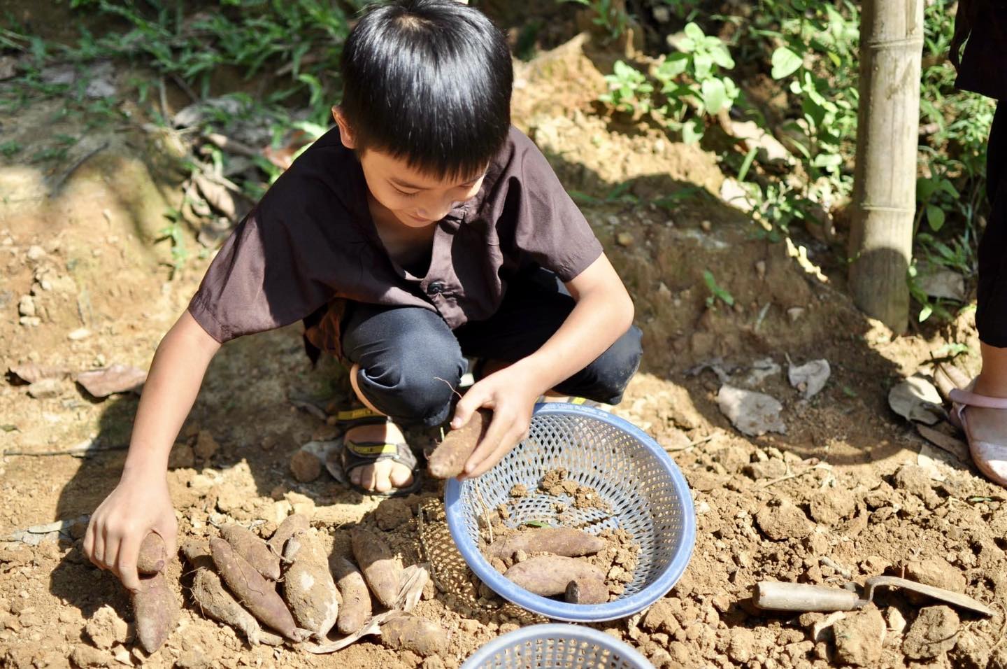 Kinh nghiệm chuẩn bị cho chuyến du lịch đến Bản Rõm