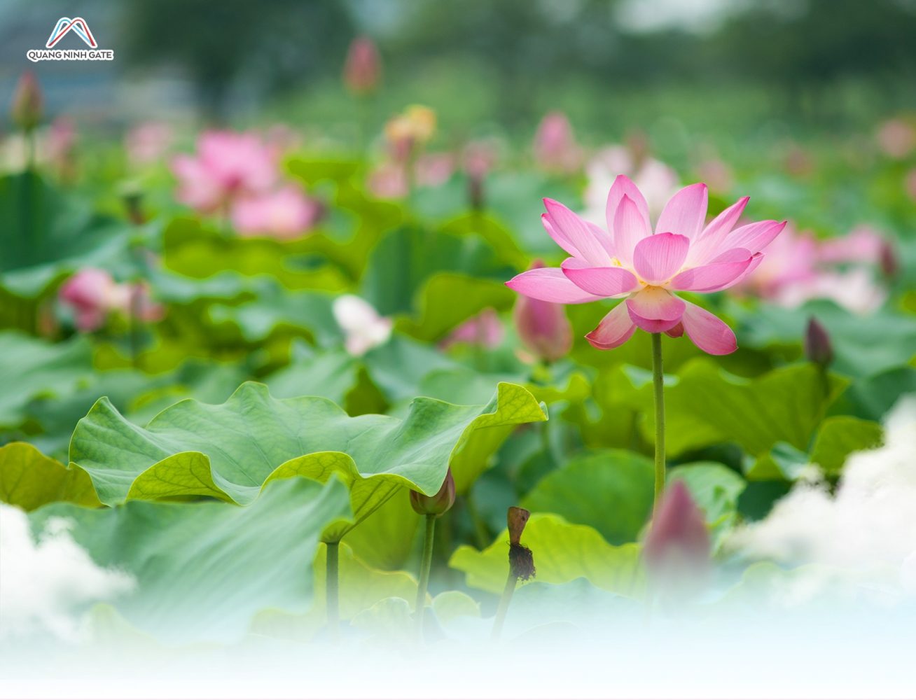 Khu trò chơi dân gian và văn hóa làng quê