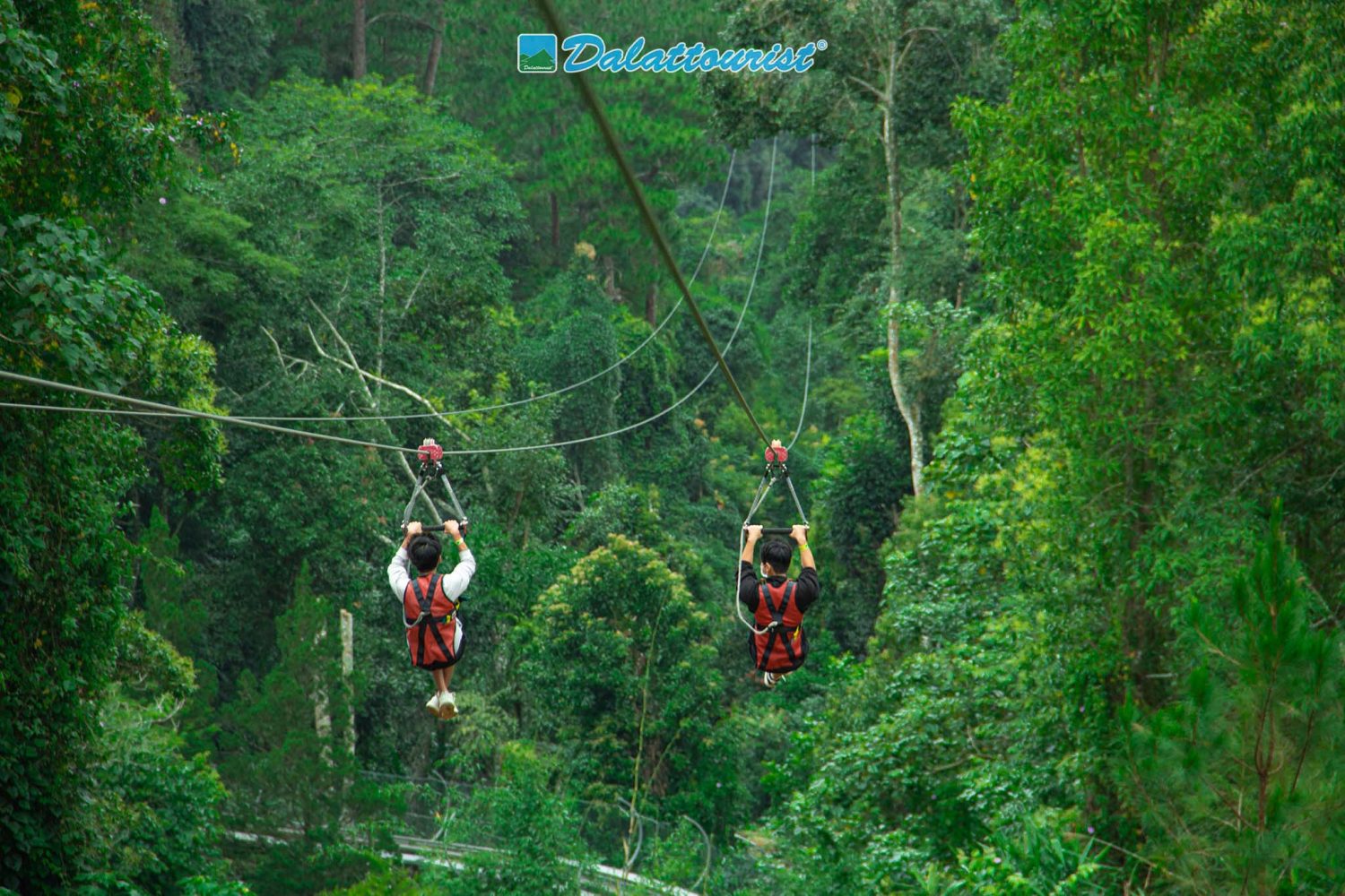 High Rope Course - Hành trình trên cao ấn tượng