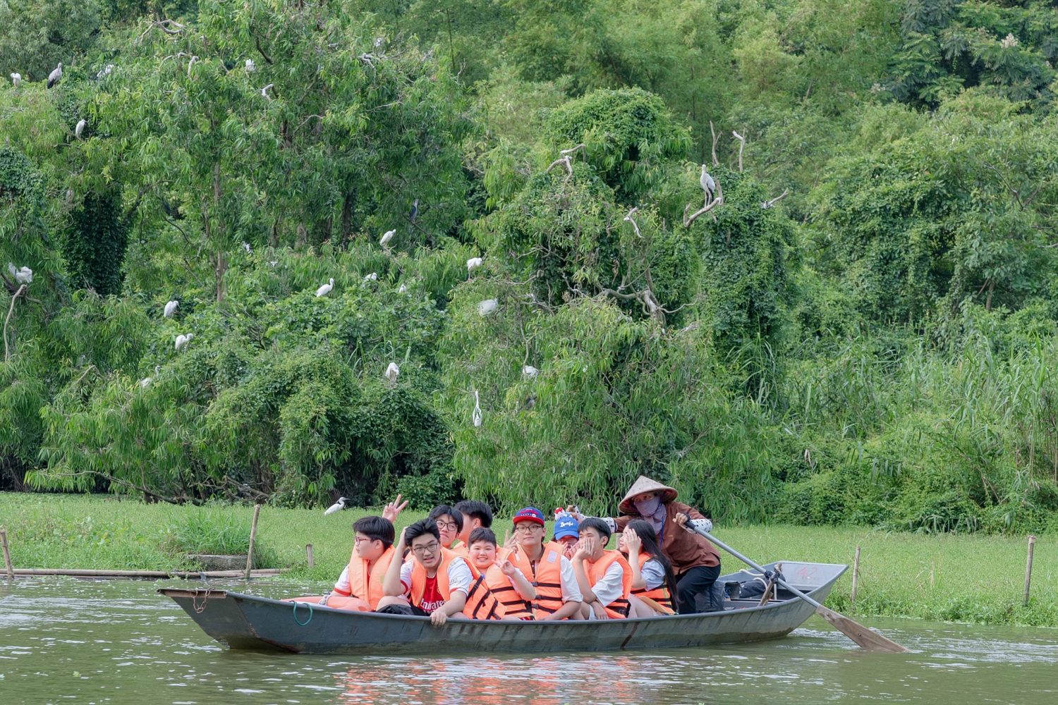 Câu hỏi thường gặp