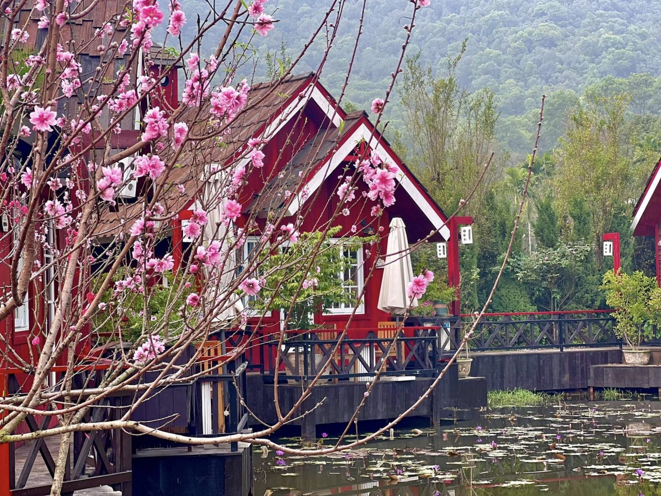 Không gian tiệc ngoài trời bên hồ hoa súng