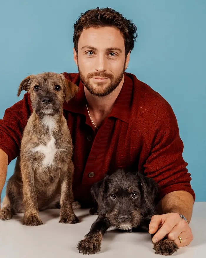 Hỏi và đáp nhanh