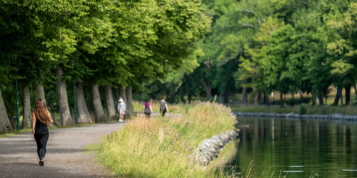 Dạo quanh công viên Quốc gia Hoàng gia thành phố Stockholm