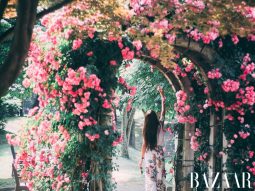 Tử vi 12 con giáp Chủ nhật ngày 14/9/2025