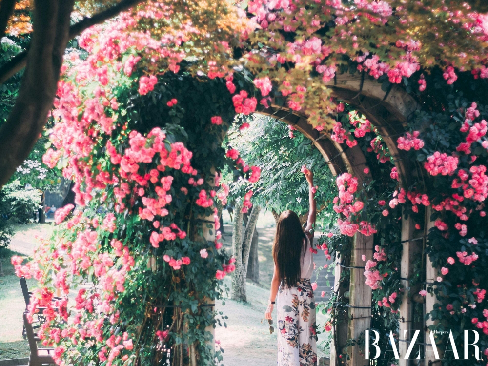 Tử vi 12 con giáp Chủ nhật ngày 14/9/2025