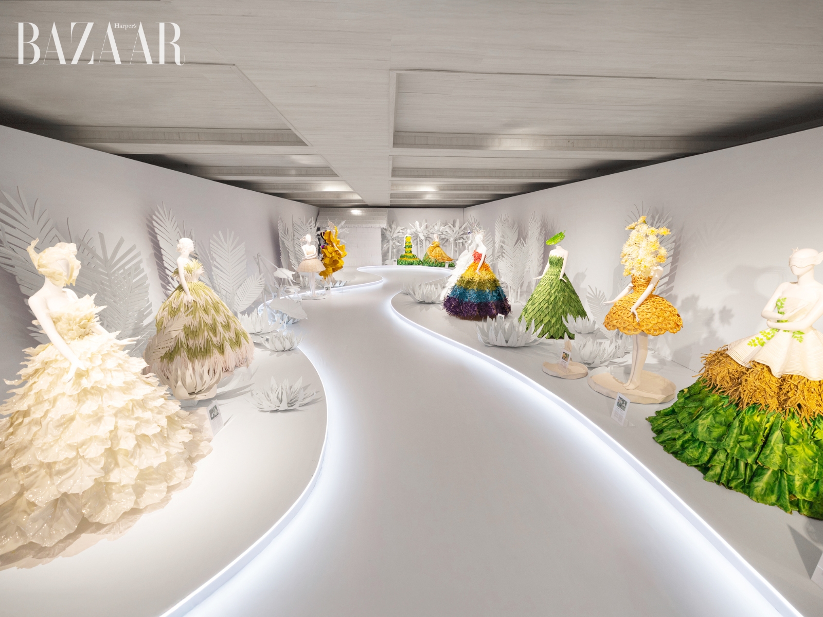 BZVN-MIET-CU-LAO-NTK-NGUYEN-MINH-CONG00002