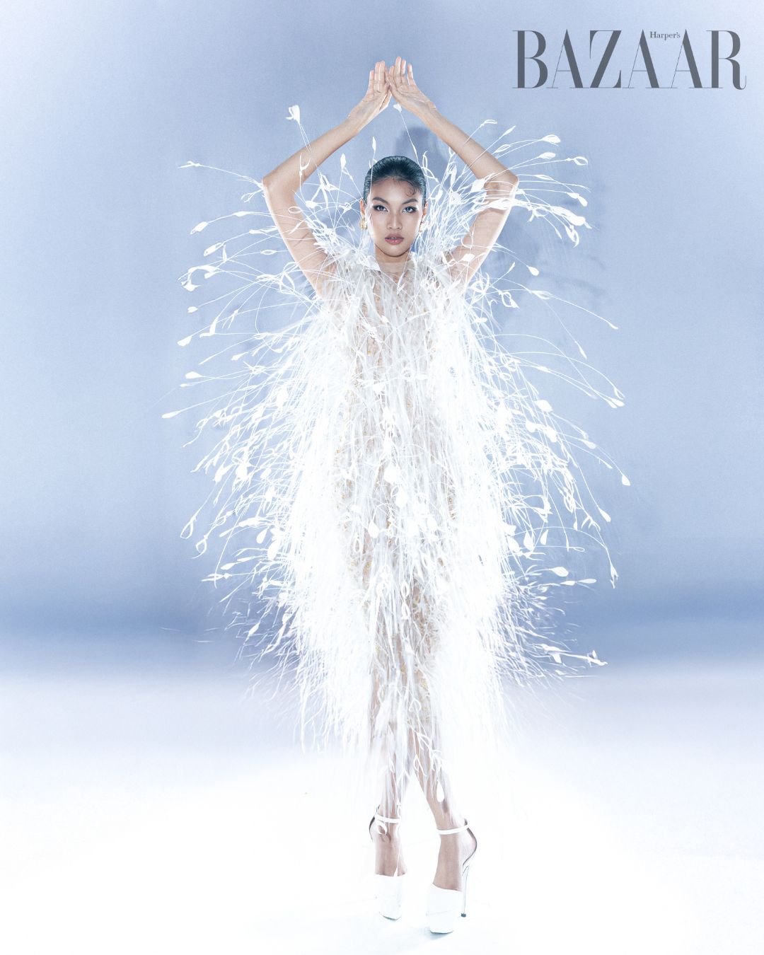 Vietnam's Next Top Model 2025