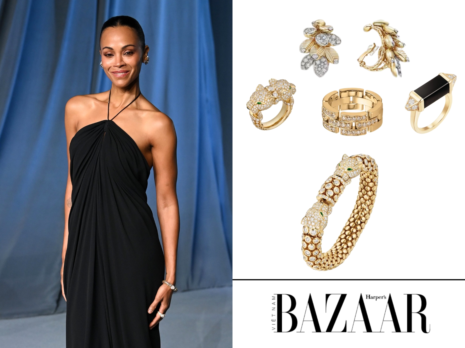 bzvn-chi-tiet-trang-suc-cartier-tai-academy-museum-gala-2025 (3)