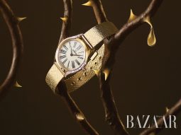 bzvn-thumb-forest-fables-bo-anh-dong-ho