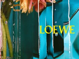bzvn-thumb-loewe-xuan-he-2026