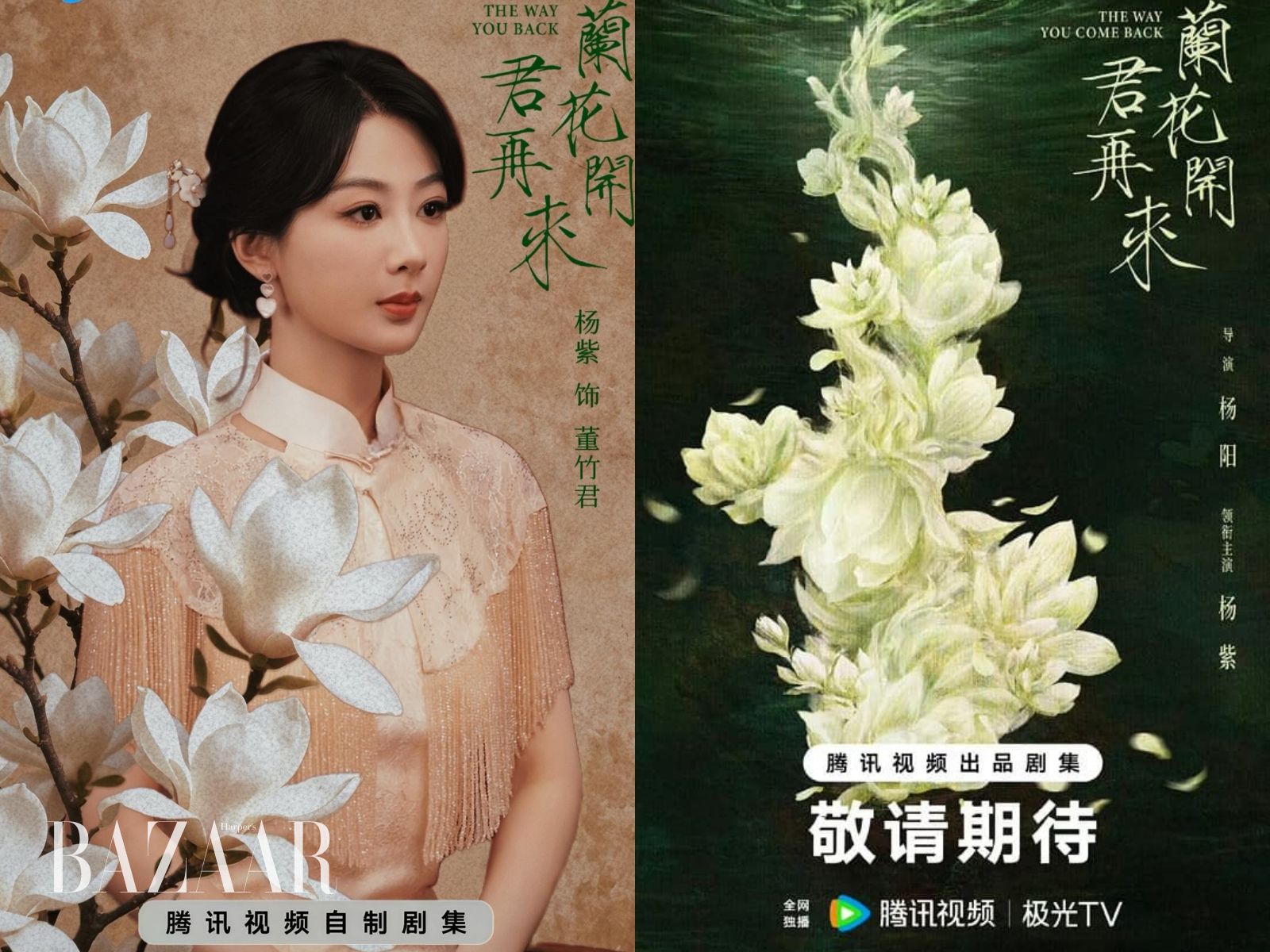 Những loài hoa như “bùa may mắn” cho sự nghiệp của Dương Tử