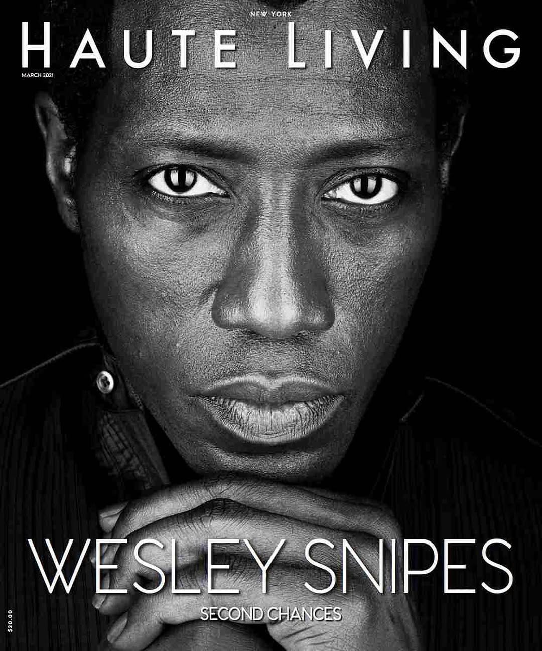 các tập phim có sự tham gia của Wesley Snipes