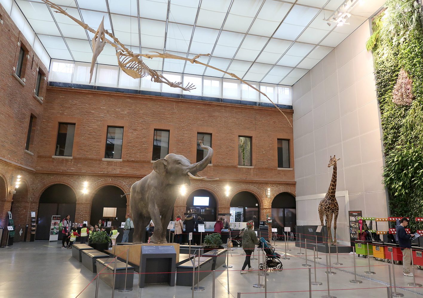 Bảo tàng Saint-Raymond (Musée d'Archéologie de Toulouse)