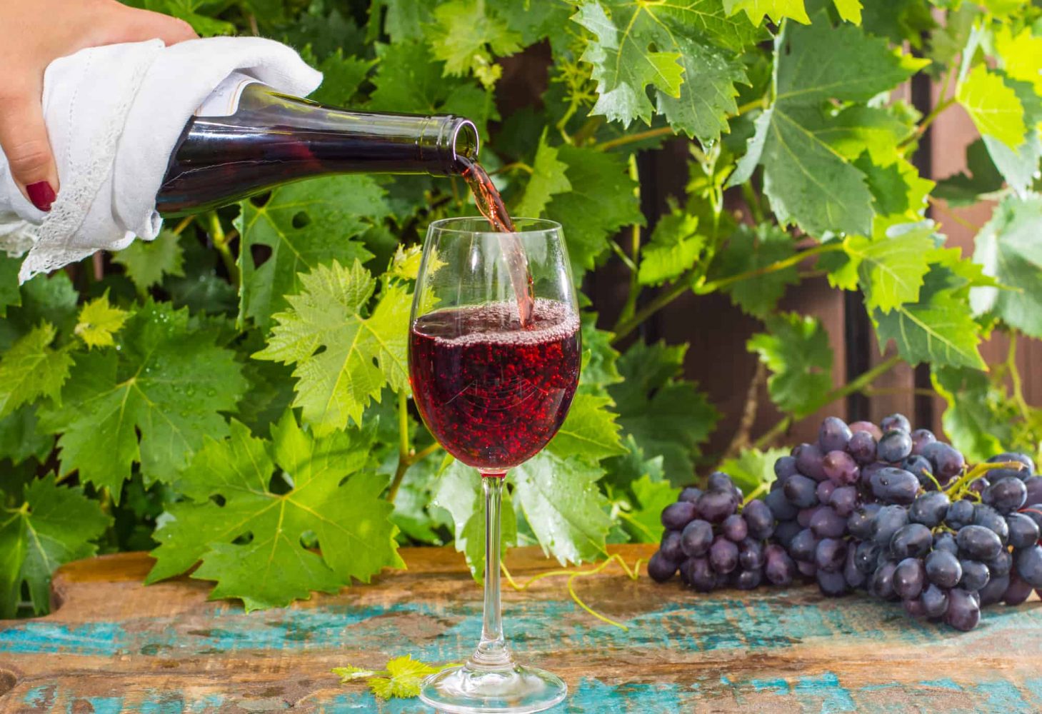 Thưởng thức rượu vang hảo hạng tại Châteauneuf