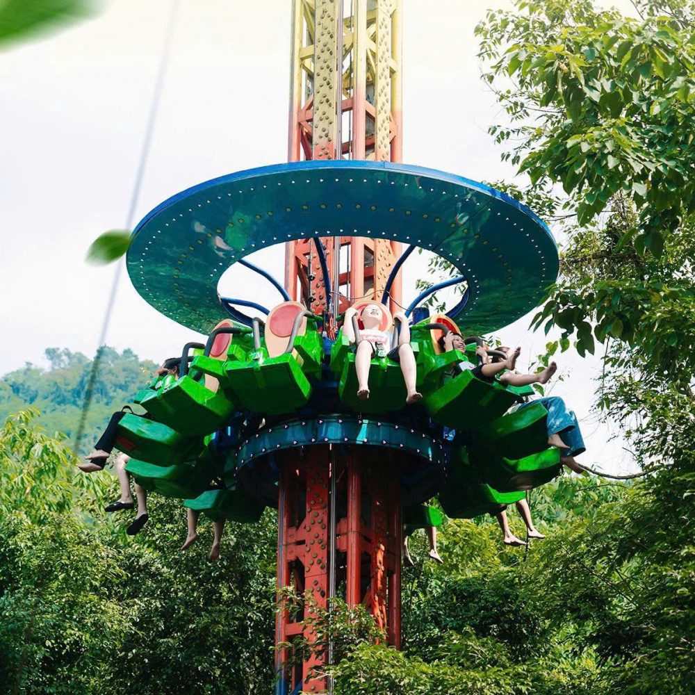 Khu trò chơi cảm giác mạnh