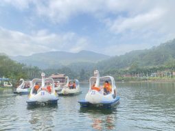 Khu du lịch Ao Vua