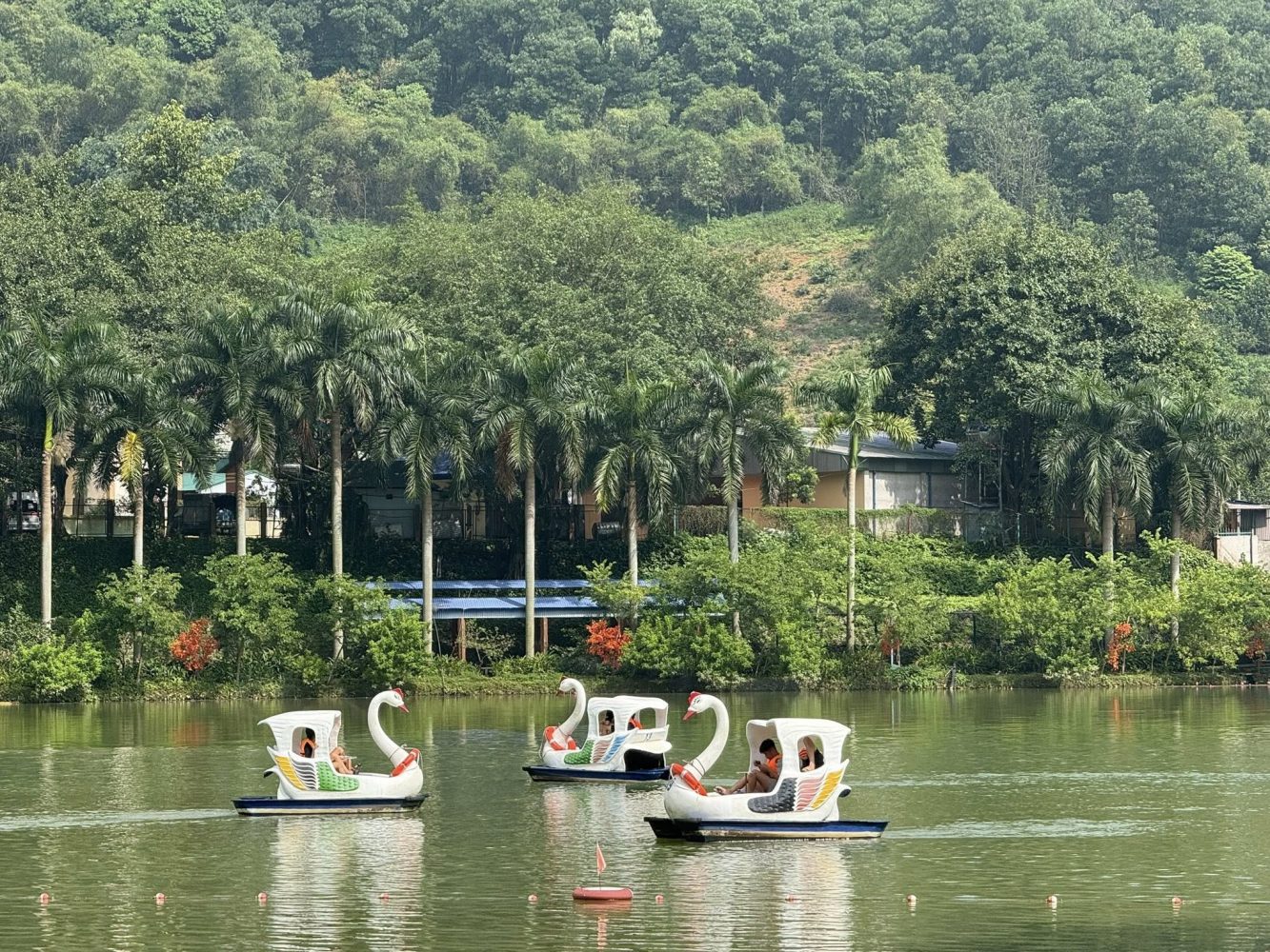 Hoạt động trải nghiệm tại khu du lịch Ao Vua